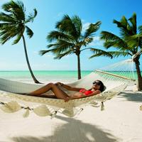 Отзыв от Диана - DTV виза